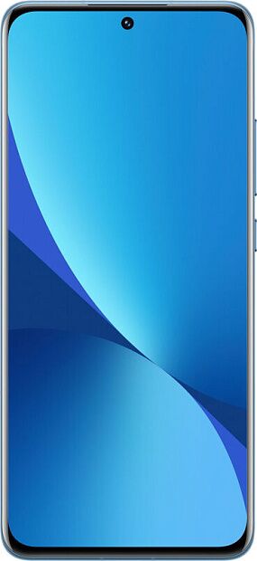 Xiaomi 12X 8Gb/256Gb (Blue) RU - 9